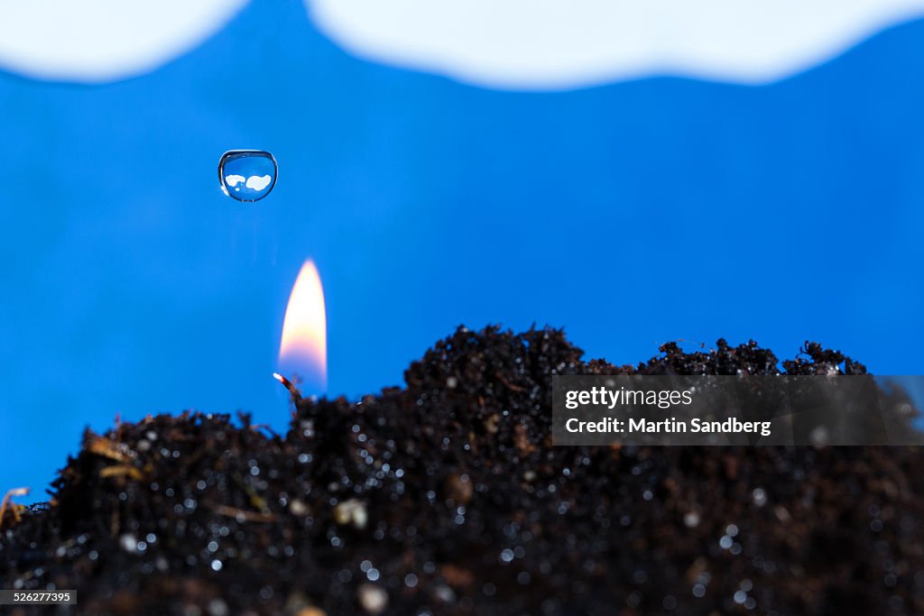 The elements