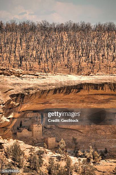 forest fire, anasazi cliff dwelling - anasazi stockfoto's en -beelden