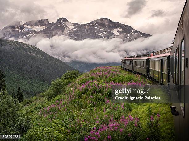 skagway, white pass, yukon route train - skagway stock-fotos und bilder