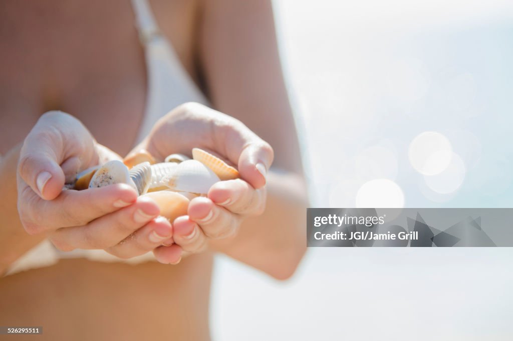 Close up of Caucasian woman holding seashells at beach