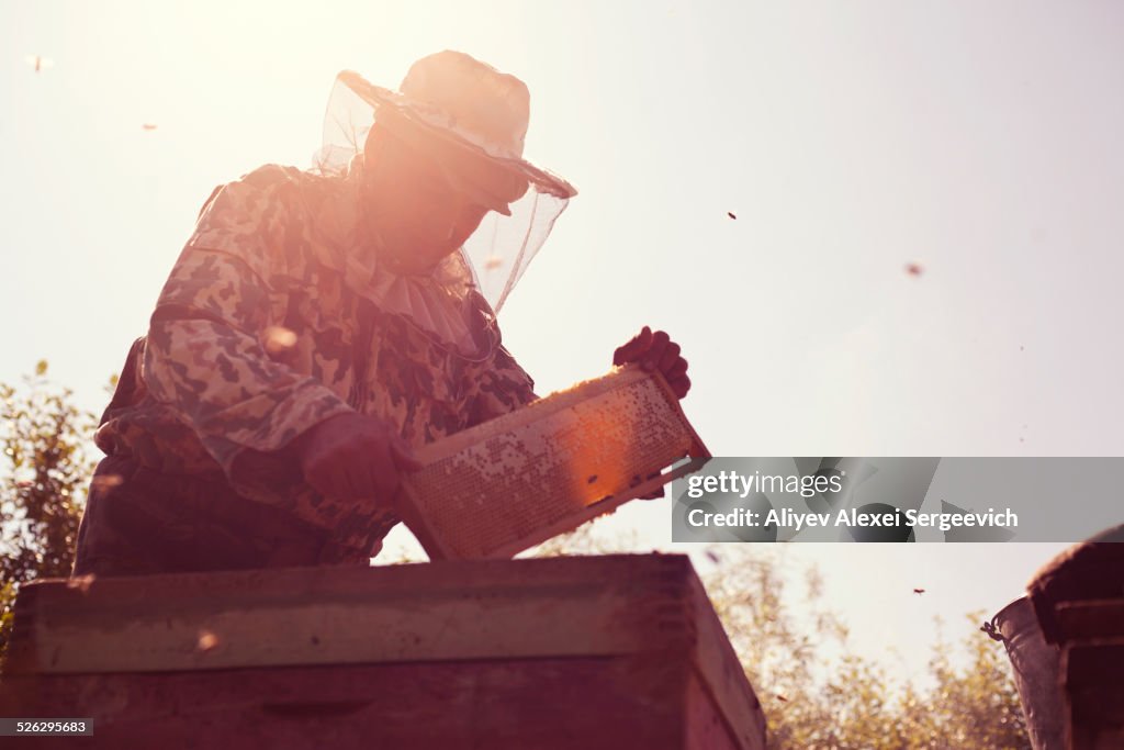 Mari beekeeper working with beehives outdoors