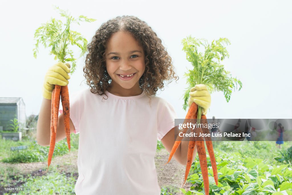 Mixed race girl holding bunch of fresh carrots in garden