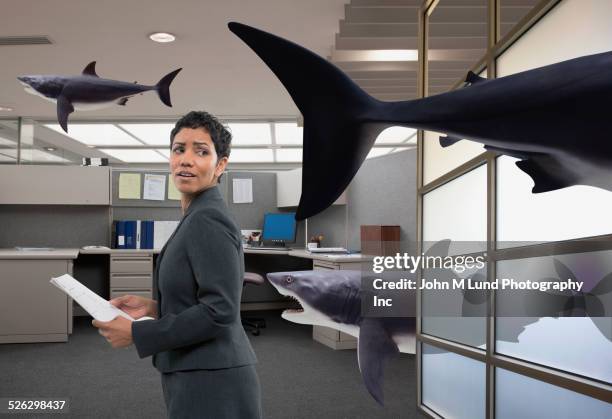 mixed race businesswoman watching shark in office - conflict resolution stock-fotos und bilder