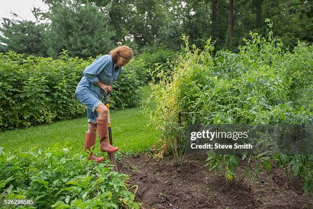 older caucasian woman working in garden - gartenmauer stock-fotos und bilder