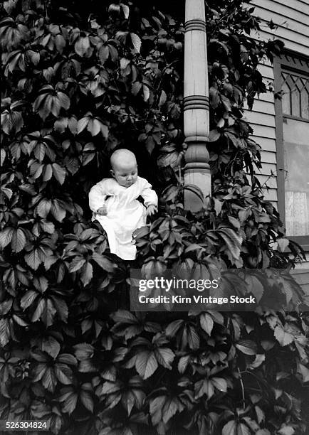 Infant sits alone in a leafy bush next to the porch of a period Victorian home.