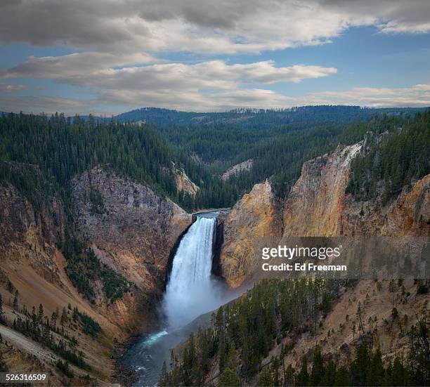 upper yellowstone falls - yellowstone national park stock pictures, royalty-free photos & images