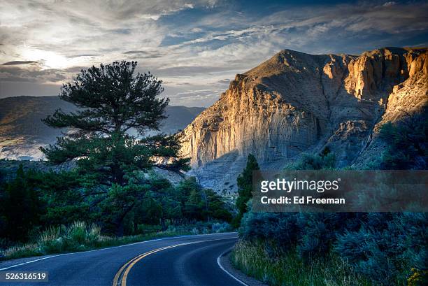 curving road in yellowstone, dusk - yellowstone nationalpark stock-fotos und bilder