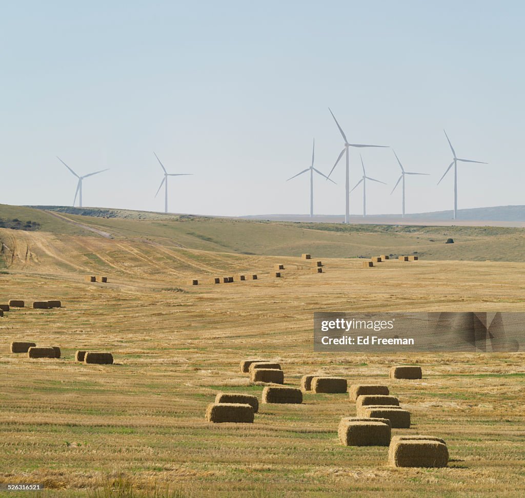 Hay Bales and Windmills, Nevada Ranch