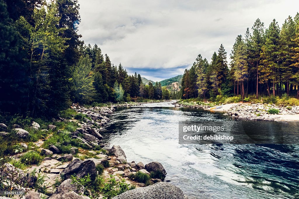 Fiume Wenatchee & Foresta vicino Leavensworth, stato di Washington