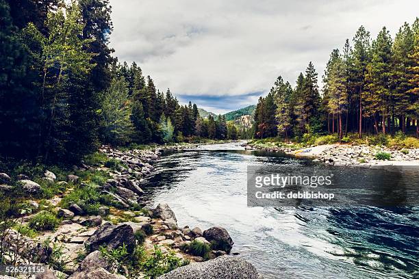 wenatchee river & forest near leavensworth, washington state - washington state stock pictures, royalty-free photos & images
