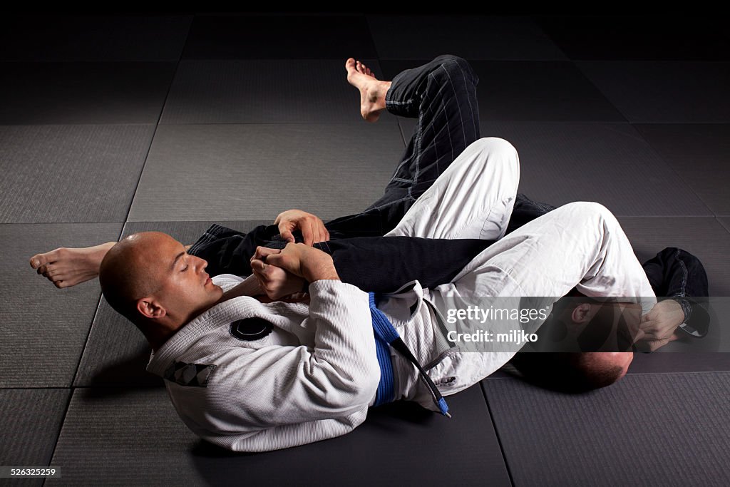 Brazilian jiu-jitsu martial arts
