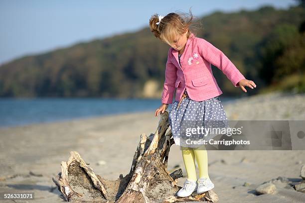 girl (2-3) standing on log - driftwood stock pictures, royalty-free photos & images