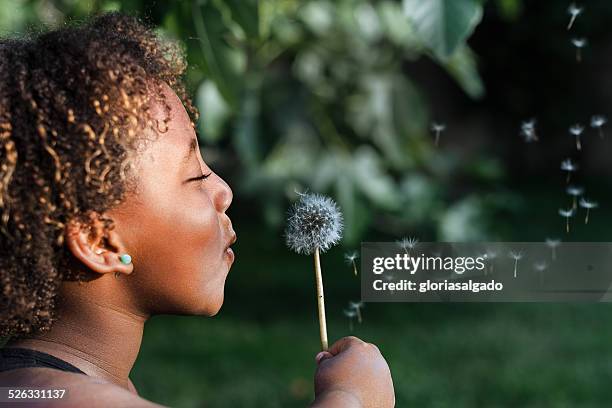 girl blowing dandelion - wensen stockfoto's en -beelden