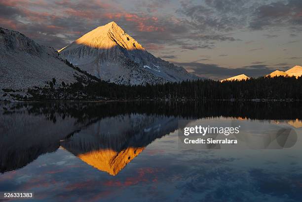 usa, california, ansel adams wilderness area, inyo national forest, arrow peak reflection in bench lake - wildnisgebiet ansel adams stock-fotos und bilder