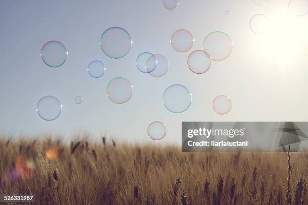 bubbles flying over field - soapbubble stock-fotos und bilder