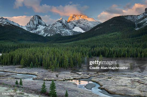 kananaskis country sunrise alberta - kananaskis stock pictures, royalty-free photos & images