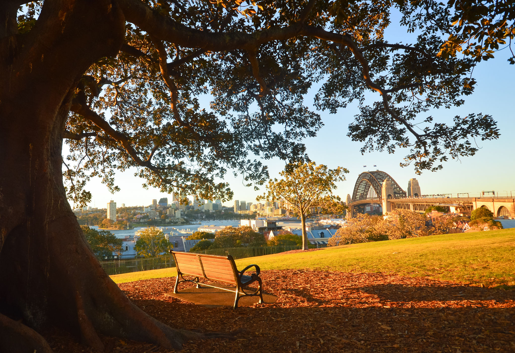 autumn sydney