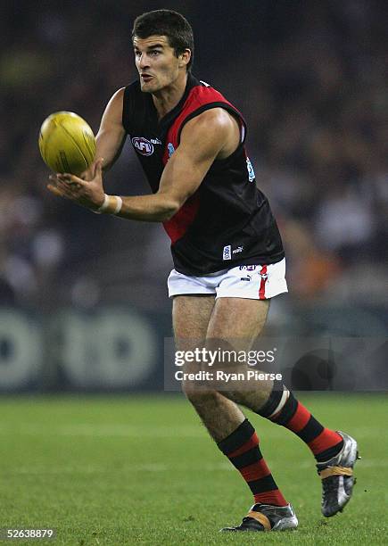 Damien Peverill for the Bombers in action during the round four AFL match between the Geelong Cats and the Essendon Bombers at the Telstra Dome on...