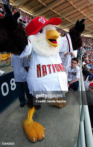 Washington Nationals mascot Screech cheers during the game against the Arizona Diamondbacks on April 17, 2005 at RFK Stadium in Washington, DC.