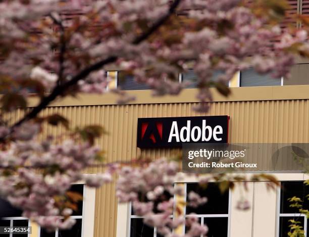 Adobe's Freemont offices are seen April 18, 2005 in Seattle, Washington. Adobe Systems Inc., one of the world?s largest providers of document-design...