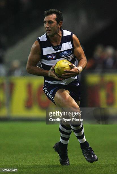 Peter Riccardi of the Cats in action during the round four AFL match between the Geelong Cats and the Essendon Bombers at the Telstra Dome April 16...