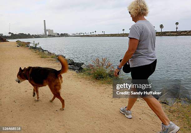 Woman walks her dog with the Carlsbad Desalination plant in back in Carlsbad, CA on Monday, June 3, 2013. San Diego is spending $1 billion to drink...