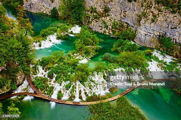 croatia, plitvice lakes national park - plitvicka jezera croatia 個照片及圖片檔
