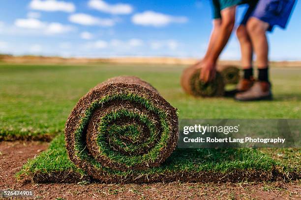 turf farm, pre-grown lawn cut and rolled - coomunga stock pictures, royalty-free photos & images