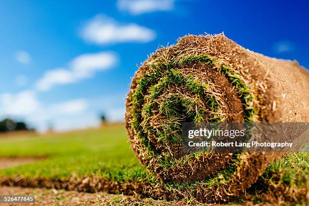 turf farm, pre-grown lawn cut and rolled - piece of sod stock pictures, royalty-free photos & images