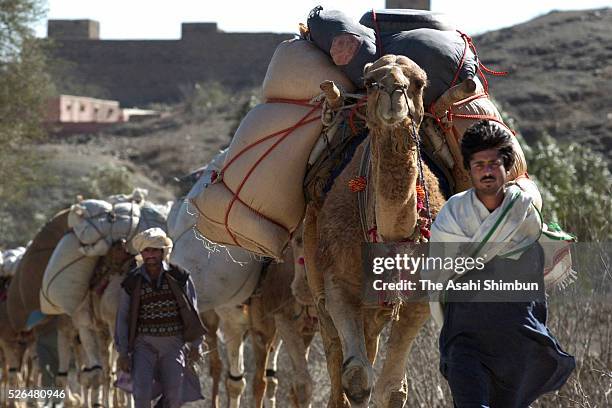People take camels at the Khyber Pass, boarder between Pakistan and Afghanistan on February 10, 2001 in Pakistan.