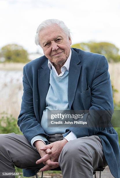 Sir David Attenborough attends the launch of the London Wildlife Trust's new Flagship nature reserve Woodberry Wetlands on April 30, 2016 in London,...