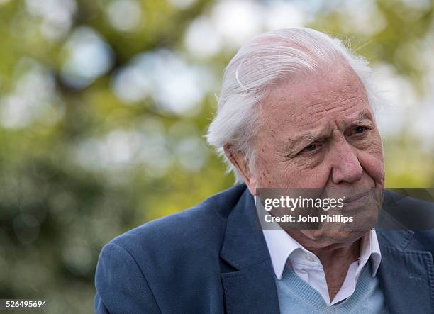 Sir David Attenborough attends the launch of the London Wildlife Trust's new Flagship nature reserve Woodberry Wetlands on April 30, 2016 in London,...