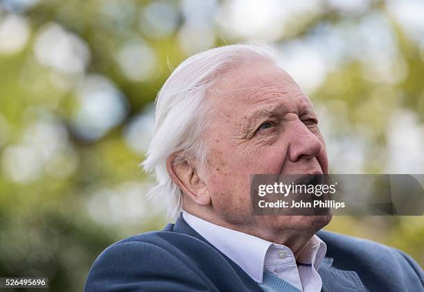 Sir David Attenborough attends the launch of the London Wildlife Trust's new Flagship nature reserve Woodberry Wetlands on April 30, 2016 in London,...