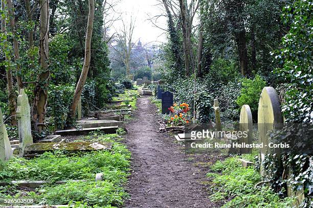 Gravestones in Highgate Cemetery in London .