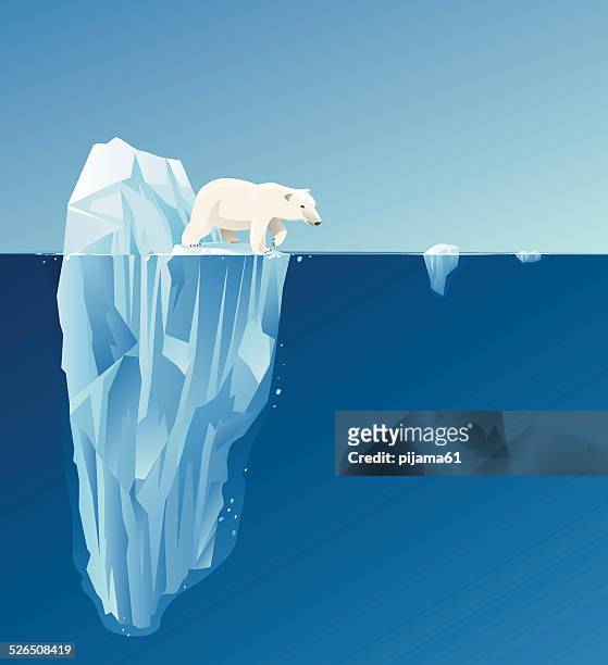 stockillustraties, clipart, cartoons en iconen met polar bear - iceberg