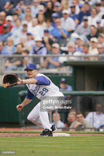 Infielder Mike Sweeney of the Kansas City Royals fields a ball against the Seattle Mariners on April 11, 2005 during opening day at Kauffman Stadium...