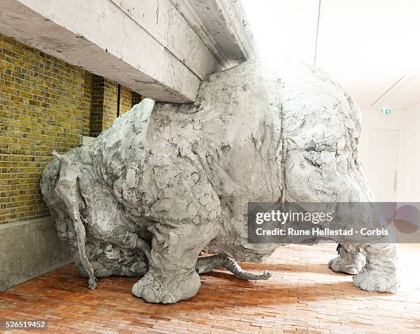 Press view of Adrian Villas Rojas exhibition Today We Reboot The Planet at the new Serpentine Sackler Gallery.