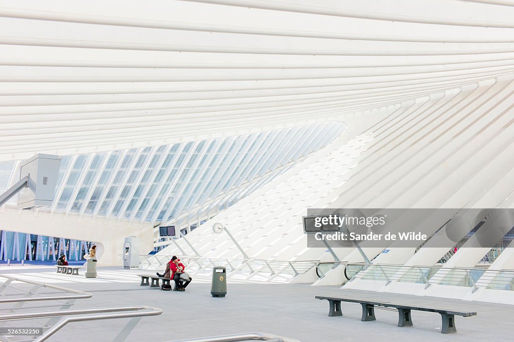 Belgium - Architecture - Train Station Liege-Guillemins Luik