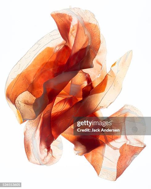 procutio on white - prosciutto stock pictures, royalty-free photos & images