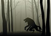 Werewolf In The Dark Woods
