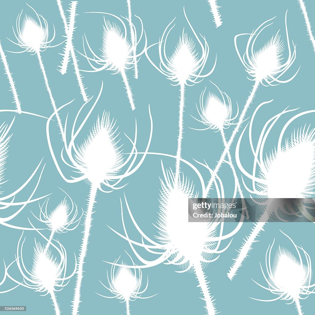 Seamless Nature Thistles Pattern