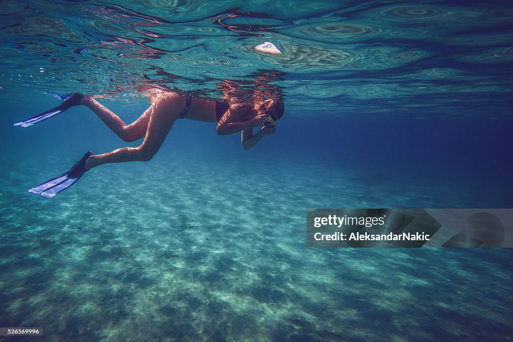 Discovering the world under the sea