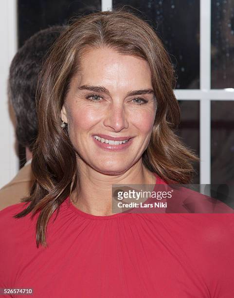 Brooke Shields attends "Kingsman: The Secret Service" premiere at the SVA Theatre in New York City. �� LAN