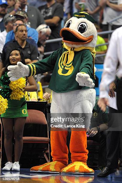 The mascot of the Oregon Ducks performs against the Duke Blue Devils during the West Regional Semifinal of the 2016 NCAA Men's Basketball Tournament...