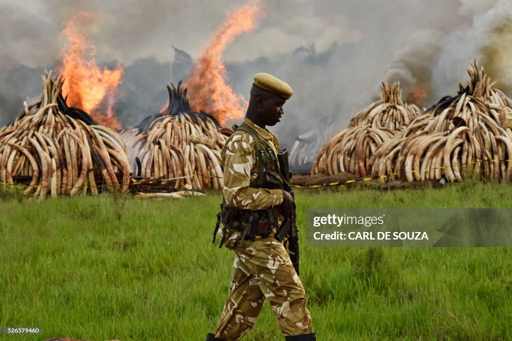 KENYA-IVORY-WILDLIFE-FIRE