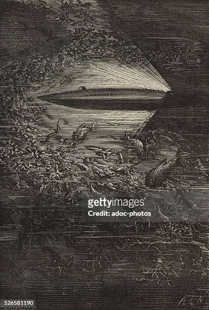 Engraving depicting the squid by millions, illustrating a scene from the novel 'Twenty Thousand Leagues Under the Sea' by Jules Verne, published in...