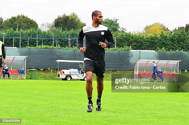 119 Naldo Pereira Stock Photos, HighRes Pictures, and Images Getty