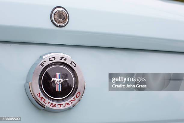 Mustang badge is seen on the back of Gail Wise's Skylight Blue 1964 1/2 Ford Mustang convertible in Park Ridge, Illinois November 26th, 2013. Gail...