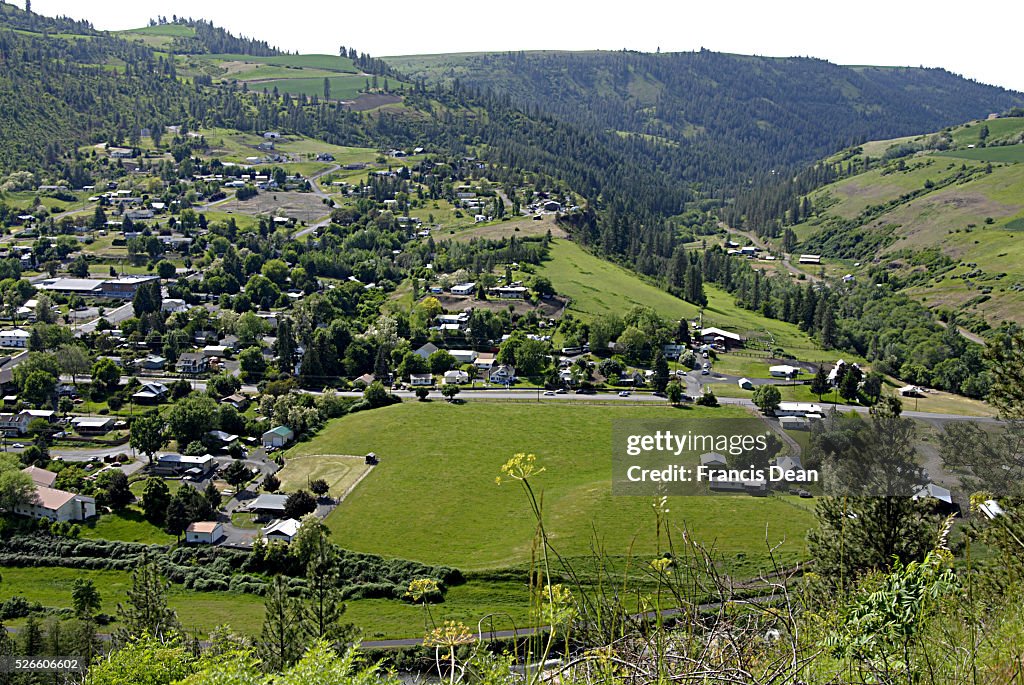 Juliatetta valley down at fixridge hills