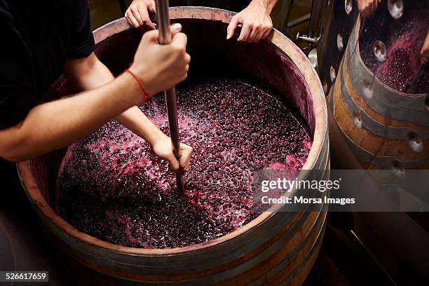 plunging the grapes cap to extract color - barril de vinho imagens e fotografias de stock